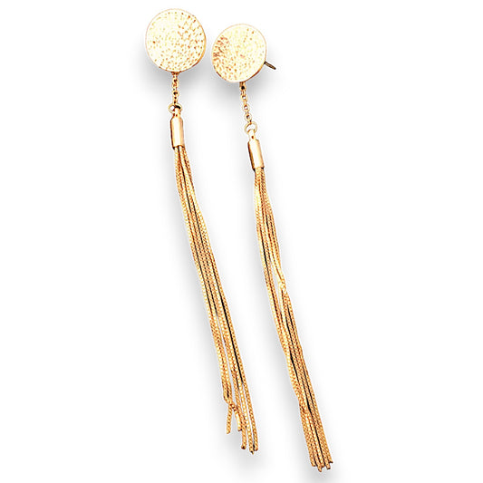 Shimmering Style Earrings